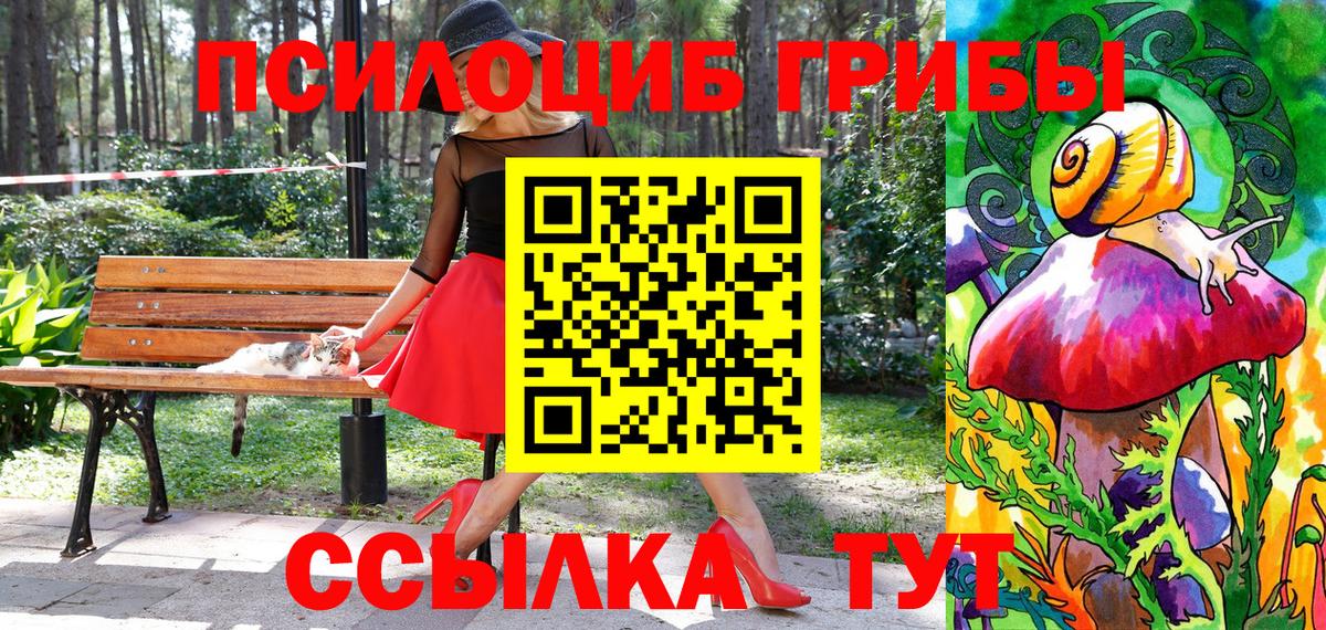 Луховицы  Псилоцибиновые грибы мухоморы  Вход с VPN 
